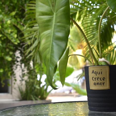 La Casa Del Pescador Holbox Apartment Ngoại thất bức ảnh