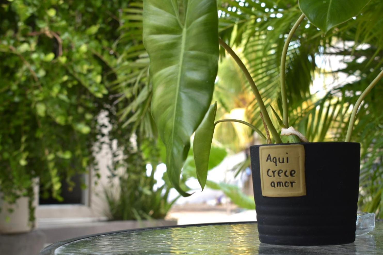 La Casa Del Pescador Holbox Apartment Ngoại thất bức ảnh